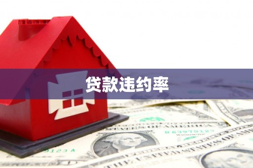 鱼峰贷款违约率
