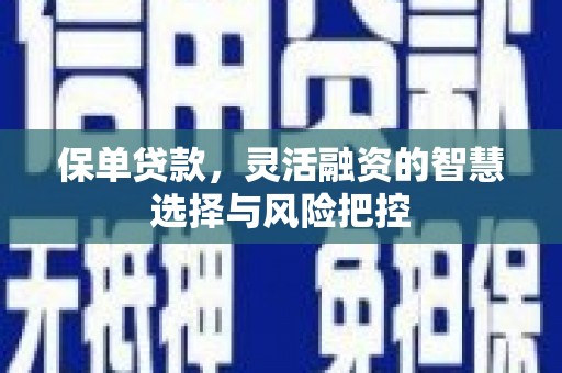 鱼峰保单贷款，灵活融资的智慧选择与风险把控