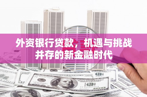 鱼峰外资银行贷款，机遇与挑战并存的新金融时代