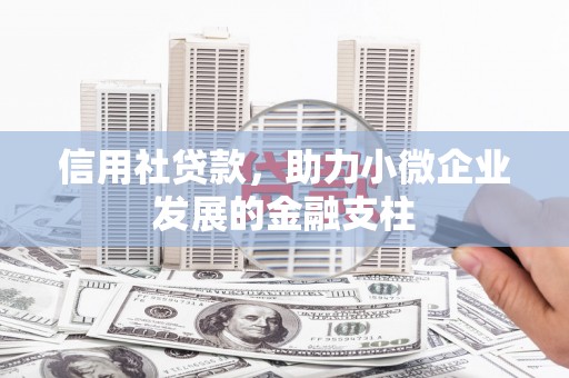 鱼峰信用社贷款，助力小微企业发展的金融支柱