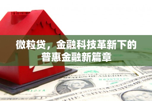 鱼峰微粒贷，金融科技革新下的普惠金融新篇章