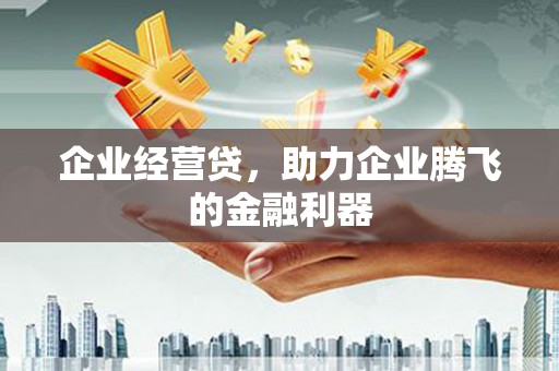 鱼峰企业经营贷，助力企业腾飞的金融利器