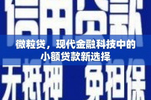 鱼峰微粒贷，现代金融科技中的小额贷款新选择