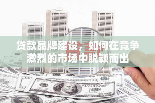 鱼峰贷款品牌建设，如何在竞争激烈的市场中脱颖而出