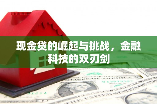 鱼峰现金贷的崛起与挑战，金融科技的双刃剑