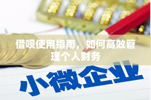 鱼峰借呗使用指南，如何高效管理个人财务
