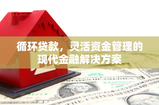 鱼峰循环贷款，灵活资金管理的现代金融解决方案