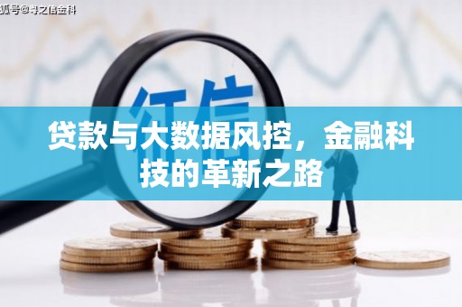 鱼峰贷款与大数据风控，金融科技的革新之路