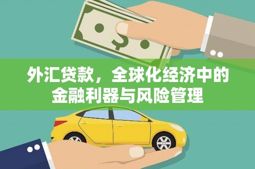 鱼峰外汇贷款，全球化经济中的金融利器与风险管理