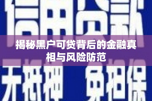 鱼峰揭秘黑户可贷背后的金融真相与风险防范