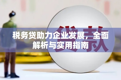 鱼峰税务贷助力企业发展，全面解析与实用指南