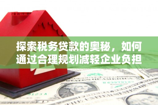 鱼峰探索税务贷款的奥秘，如何通过合理规划减轻企业负担