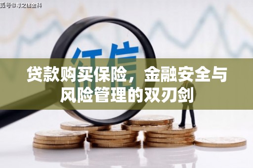 鱼峰贷款购买保险，金融安全与风险管理的双刃剑