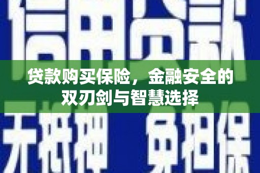鱼峰贷款购买保险，金融安全的双刃剑与智慧选择