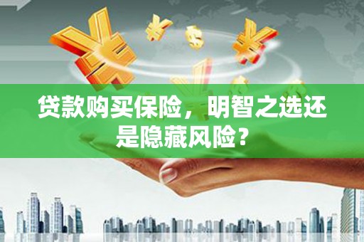 鱼峰贷款购买保险，明智之选还是隐藏风险？