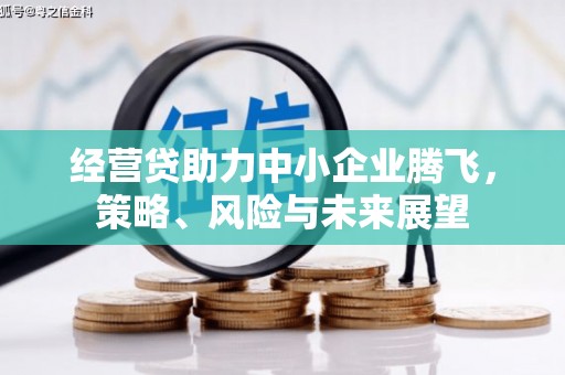 鱼峰经营贷助力中小企业腾飞，策略、风险与未来展望