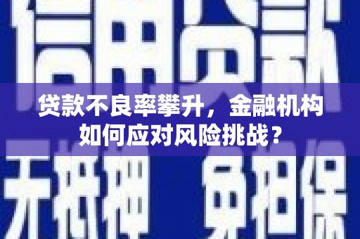 鱼峰贷款不良率攀升，金融机构如何应对风险挑战？