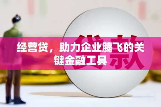 鱼峰经营贷，助力企业腾飞的关键金融工具