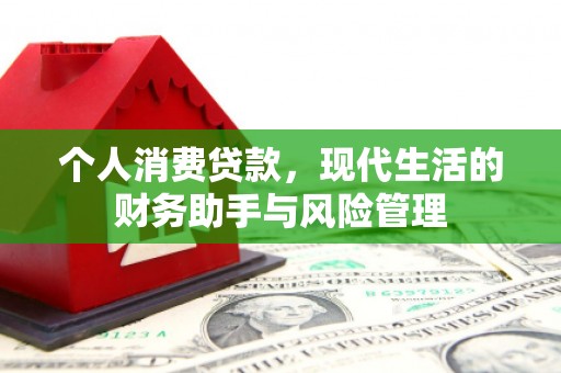 鱼峰个人消费贷款，现代生活的财务助手与风险管理