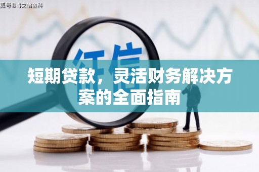 鱼峰短期贷款，灵活财务解决方案的全面指南