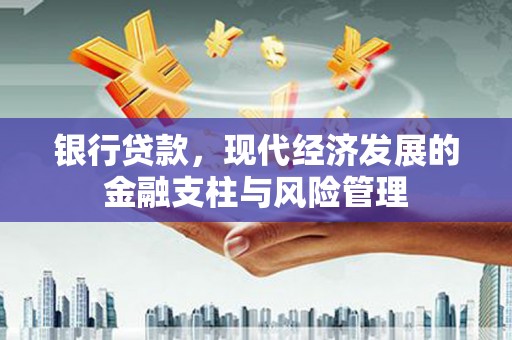 鱼峰银行贷款，现代经济发展的金融支柱与风险管理