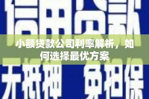 鱼峰小额贷款公司利率解析，如何选择最优方案