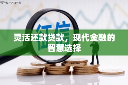 鱼峰灵活还款贷款，现代金融的智慧选择