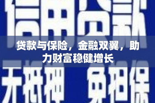 鱼峰贷款与保险，金融双翼，助力财富稳健增长