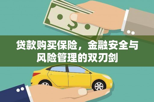 鱼峰贷款购买保险，金融安全与风险管理的双刃剑