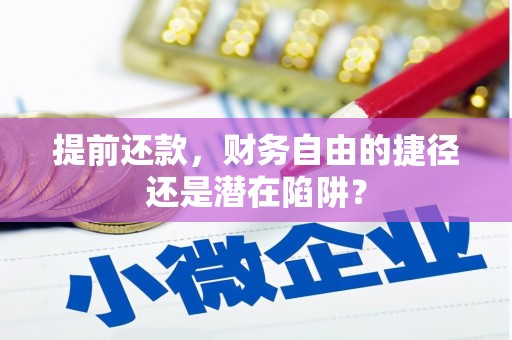 鱼峰提前还款，财务自由的捷径还是潜在陷阱？