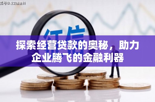 鱼峰探索经营贷款的奥秘，助力企业腾飞的金融利器