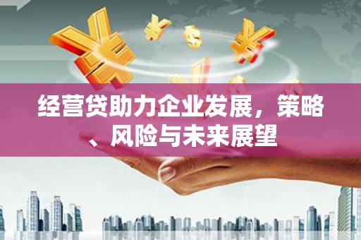 鱼峰经营贷助力企业发展，策略、风险与未来展望