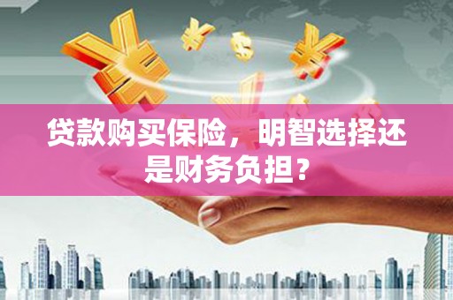 鱼峰贷款购买保险，明智选择还是财务负担？
