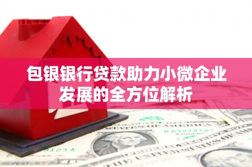 鱼峰包银银行贷款助力小微企业发展的全方位解析
