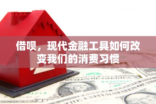 鱼峰借呗，现代金融工具如何改变我们的消费习惯