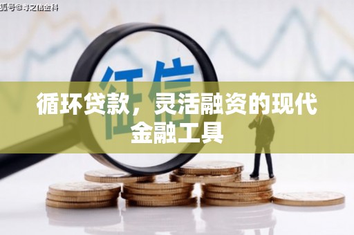 鱼峰循环贷款，灵活融资的现代金融工具