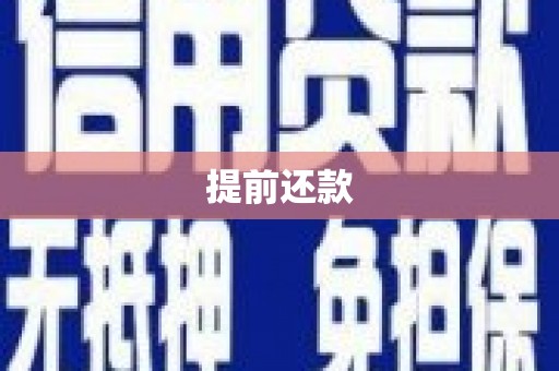 鱼峰提前还款