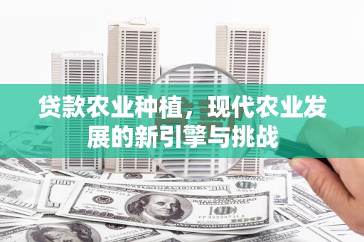 鱼峰贷款农业种植，现代农业发展的新引擎与挑战