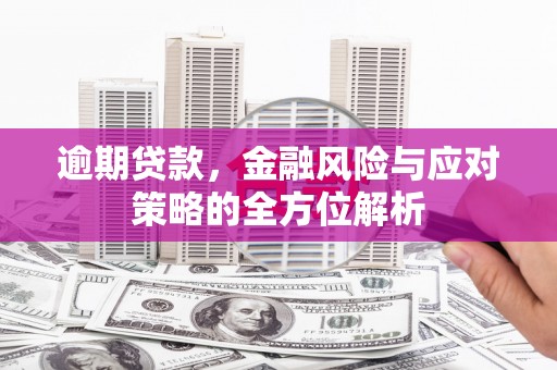 鱼峰逾期贷款，金融风险与应对策略的全方位解析