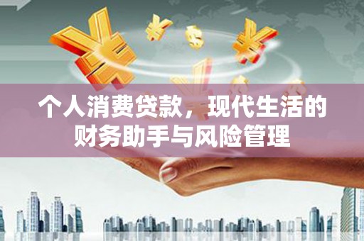 鱼峰个人消费贷款，现代生活的财务助手与风险管理