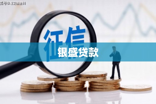 鱼峰银盛贷款
