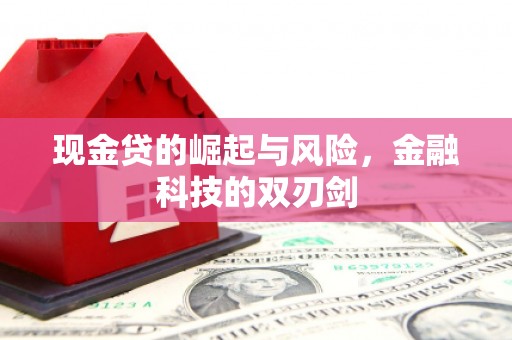鱼峰现金贷的崛起与风险，金融科技的双刃剑
