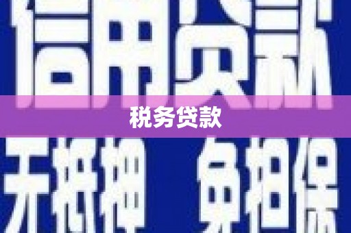 鱼峰税务贷款