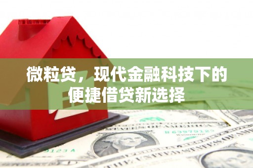 鱼峰微粒贷，现代金融科技下的便捷借贷新选择