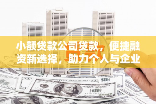 鱼峰小额贷款公司贷款，便捷融资新选择，助力个人与企业成长