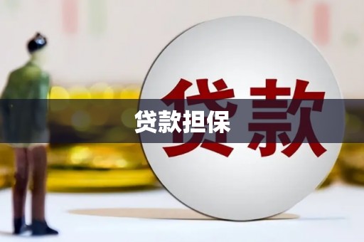 鱼峰贷款担保