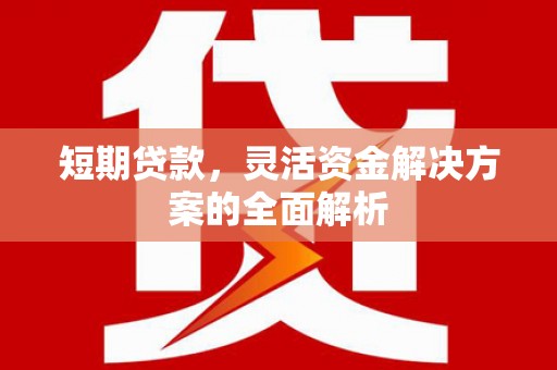 鱼峰短期贷款，灵活资金解决方案的全面解析