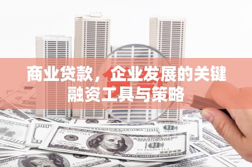 鱼峰商业贷款，企业发展的关键融资工具与策略