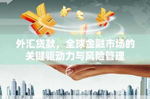 鱼峰外汇贷款，全球金融市场的关键驱动力与风险管理