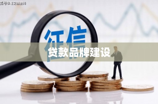 鱼峰贷款品牌建设